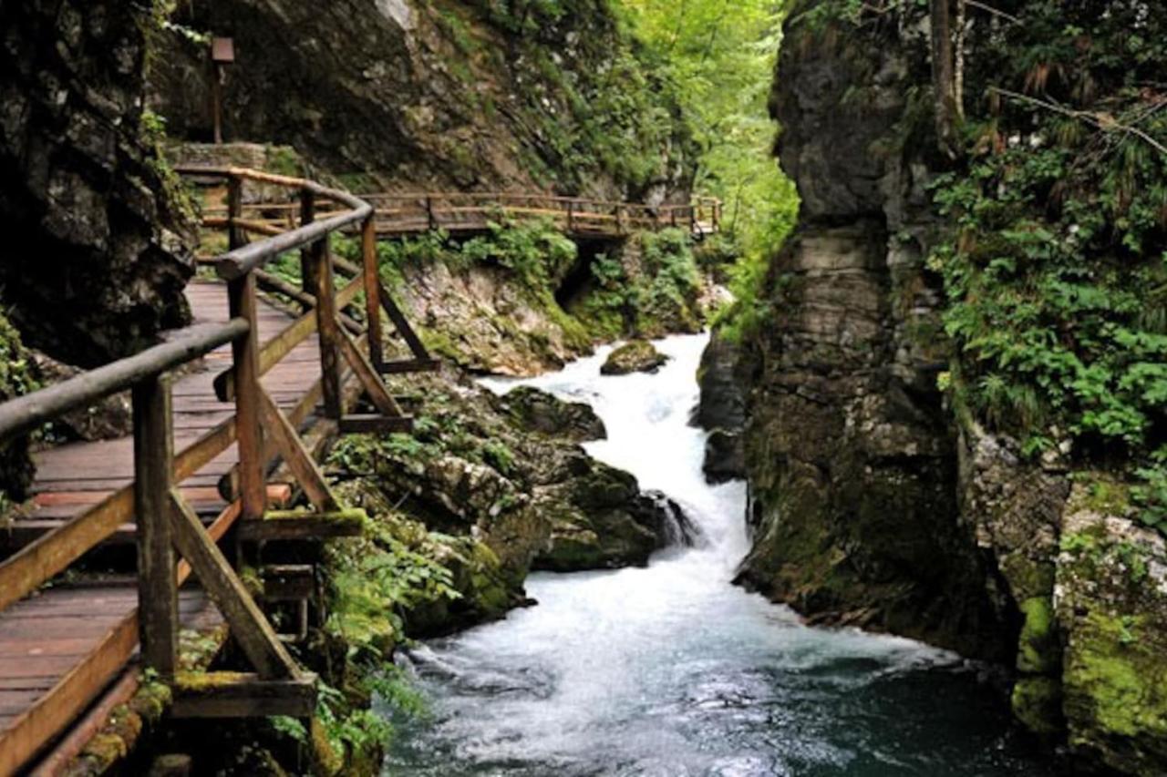 Guesthouse Schoba Typ D Кирхбах Экстерьер фото